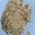 玉米压片发酵饲料量大从优厂家供货质量保证欢迎咨询