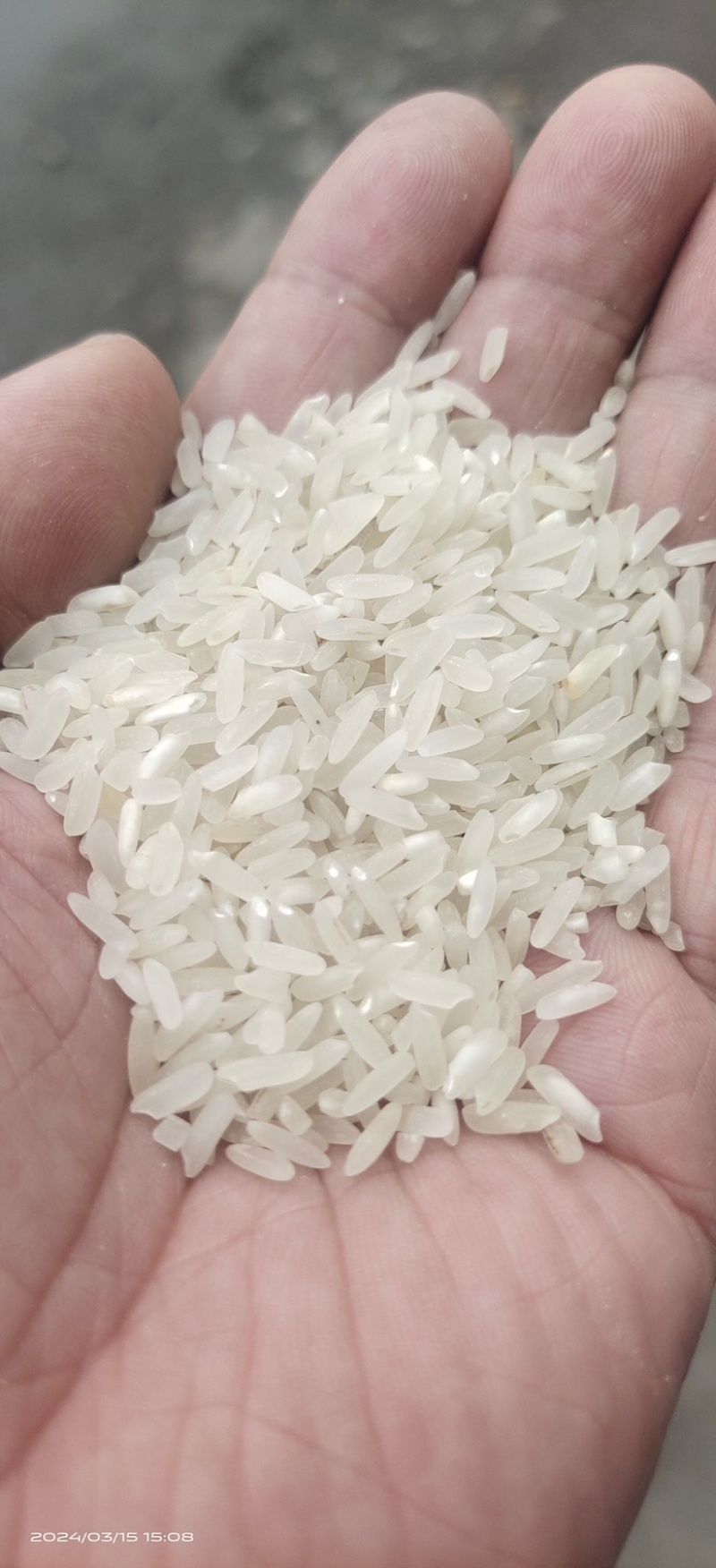 湖南怀化清香米已加工好，价格优惠。