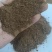 四川95型菜粕蛋白35量大从优厂家供货质量保证欢迎咨询