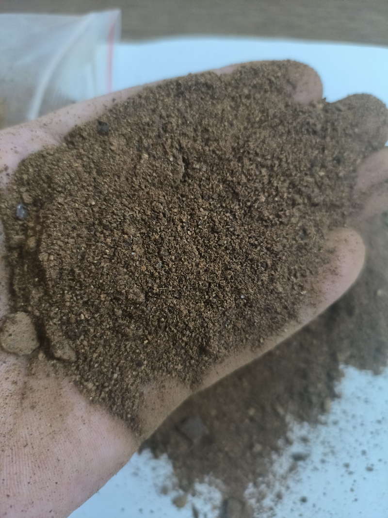 四川95型菜粕蛋白35量大从优厂家供货质量保证欢迎咨询