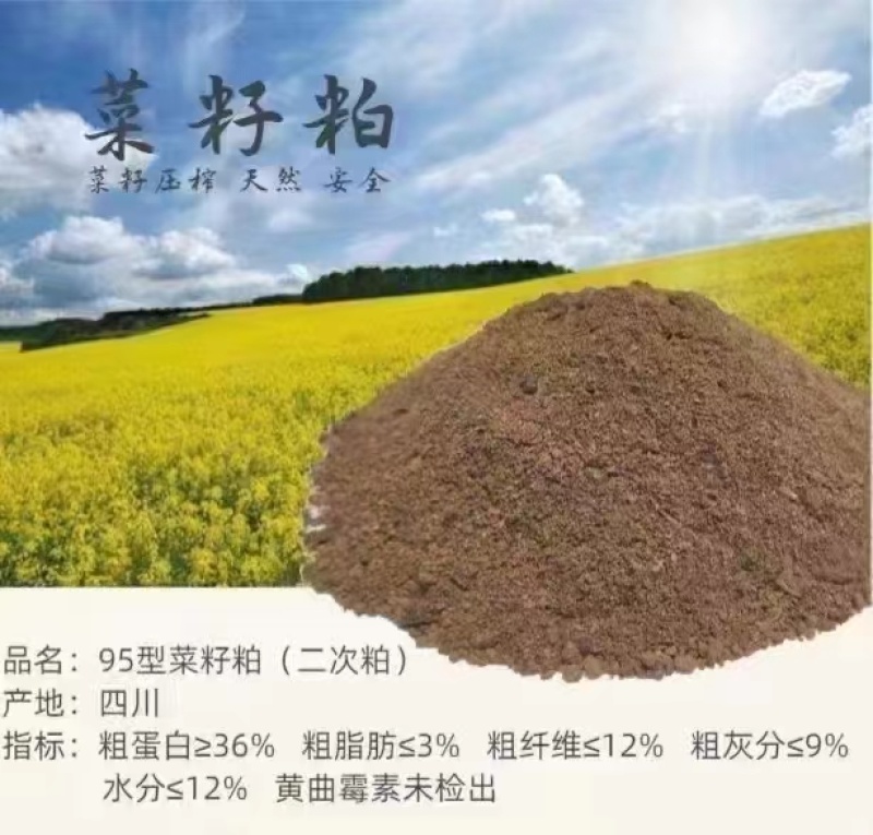 四川95型菜粕蛋白35量大从优厂家供货质量保证欢迎咨询