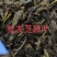 【精品】芝麻叶河南周口量大从优，鲜货发出，可视频验货