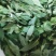 【精品】芝麻叶河南周口量大从优，鲜货发出，可视频验货