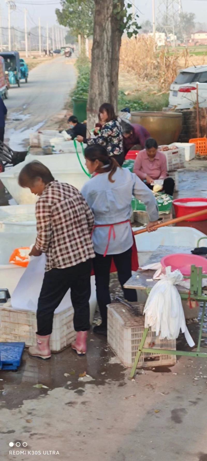 冻块红薯大量供应，周口发货，量大从优，保质保量对接全国