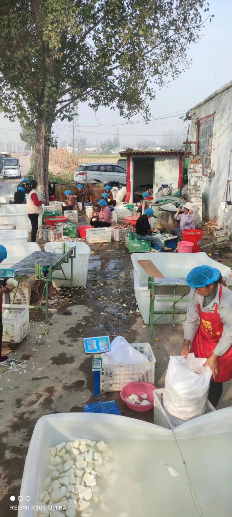 冻块红薯大量供应，周口发货，量大从优，保质保量对接全国