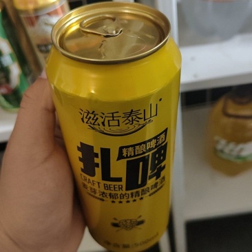 精酿啤酒滋活泰山扎啤500毫升*12罐精酿啤酒新品发布