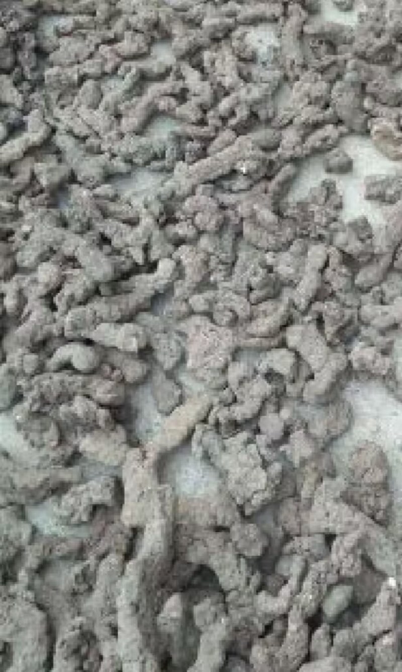 陕西汉中精品猪苓，个头均匀大，质量好，