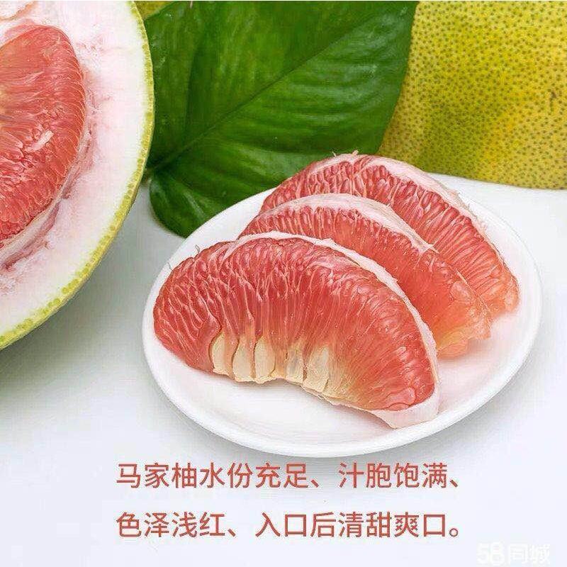 上饶广丰大南马家柚苗