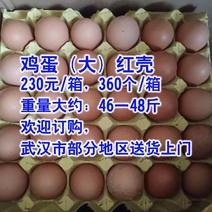 红壳大鸡蛋，230元/箱，360元/箱，重约46一48斤
