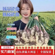 实力-电商货-【生姜】(精品黄姜风干姜/水洗姜/沙土姜)