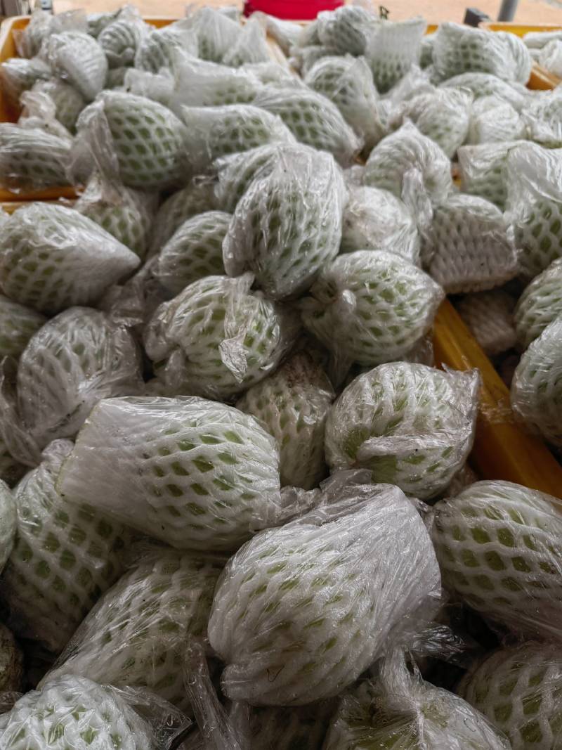 芭乐
