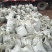 老张腐殖土花土有机肥助手
