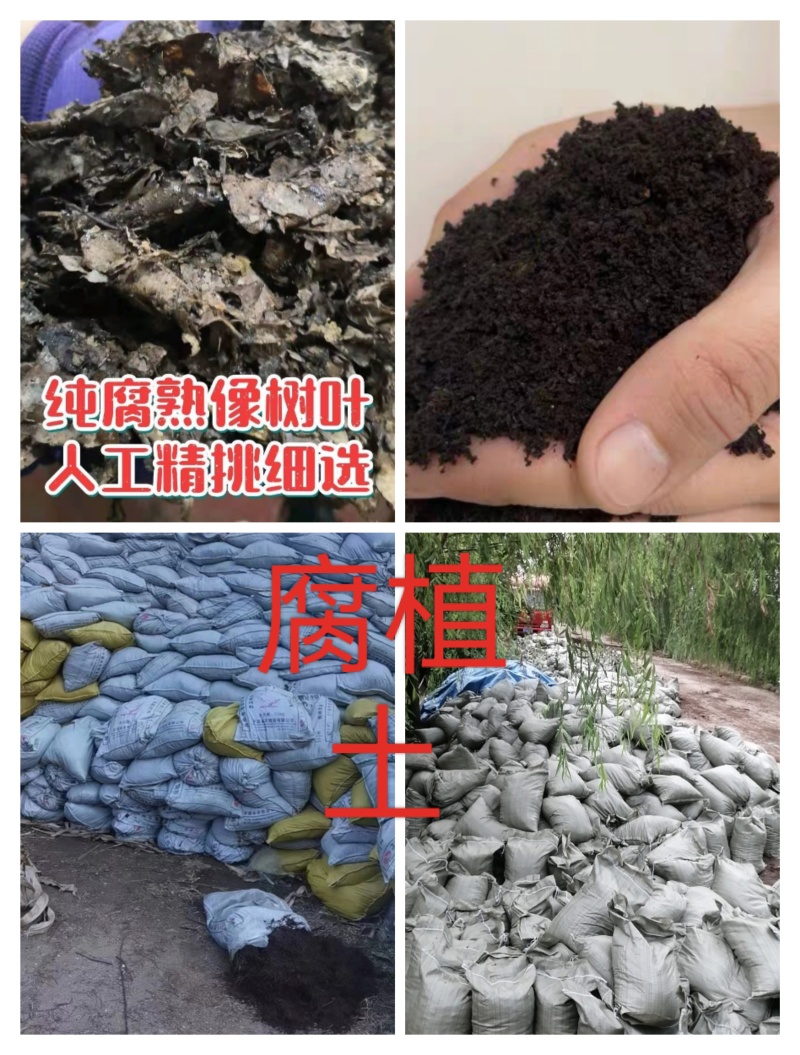 花土育苗基质营养土