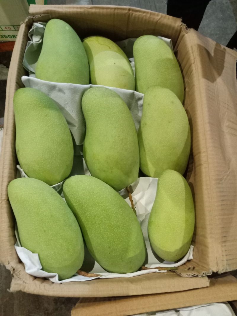 海南金煌芒对接全国批发市场电商平台社区团购