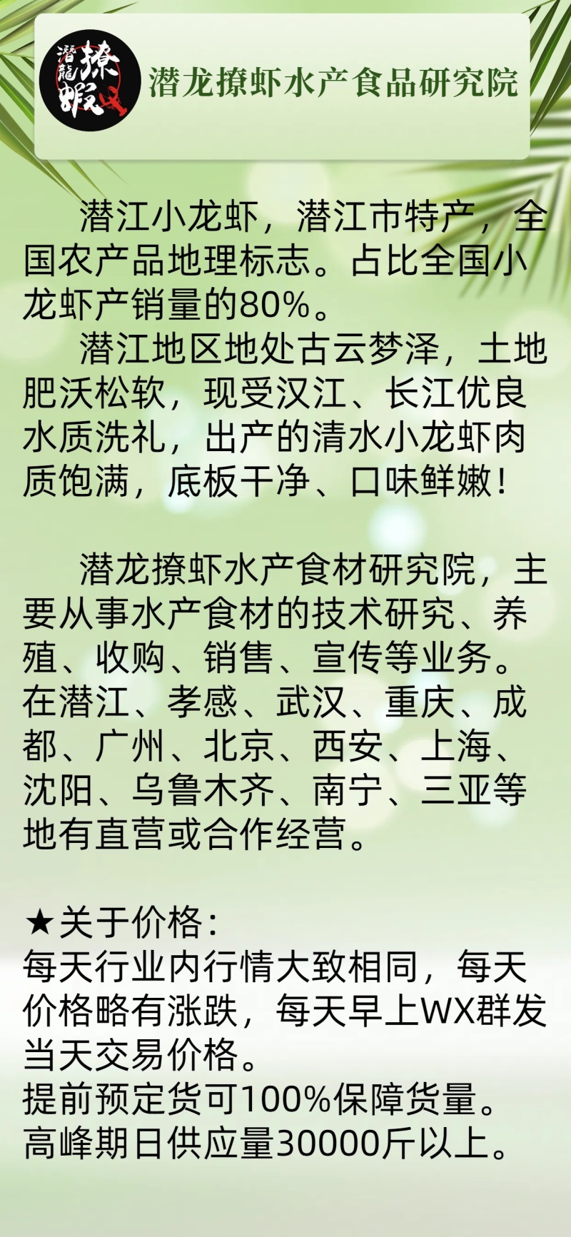 潜江小龙虾小红中红大红炮头湖北小龙虾清水小龙虾