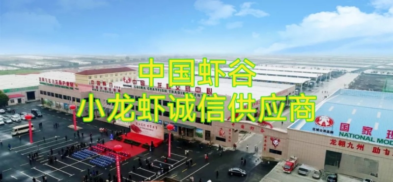 鳝鱼黄鳝大条中条小条全国各地均可到货