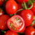 釜山88小番茄种子玲珑果樱桃番茄种籽红色圣女果特色樱桃番