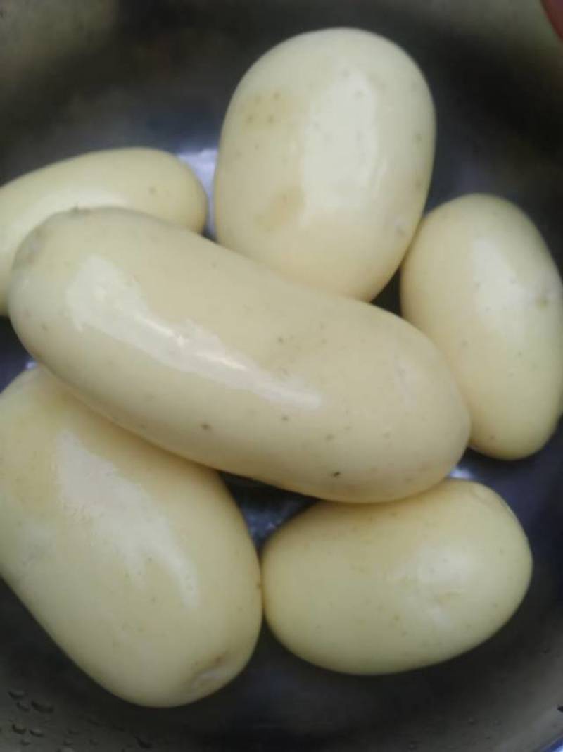 代办各市场土豆