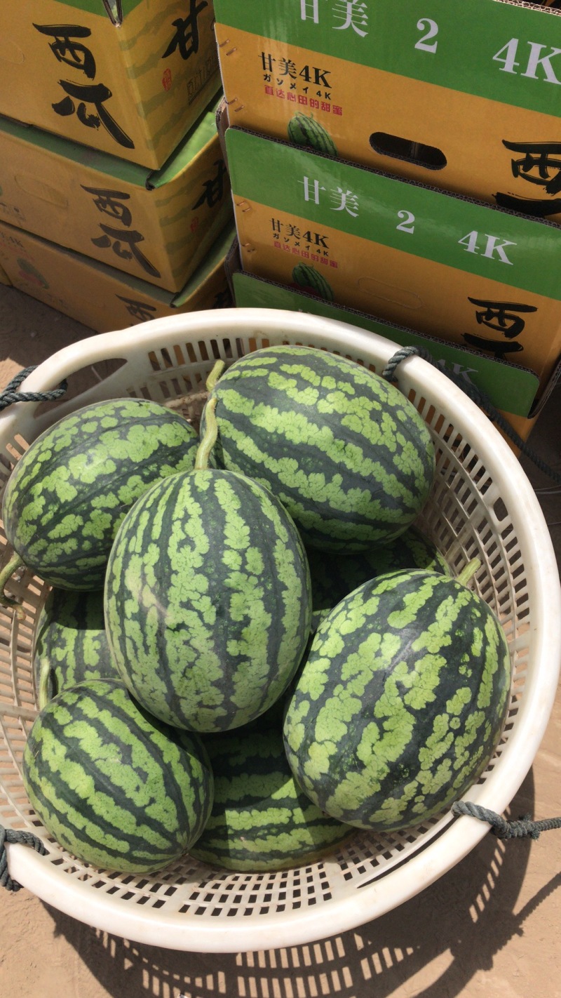甘美四k