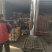 猪蹄纯干带筋前蹄244型号46071型号今年新货