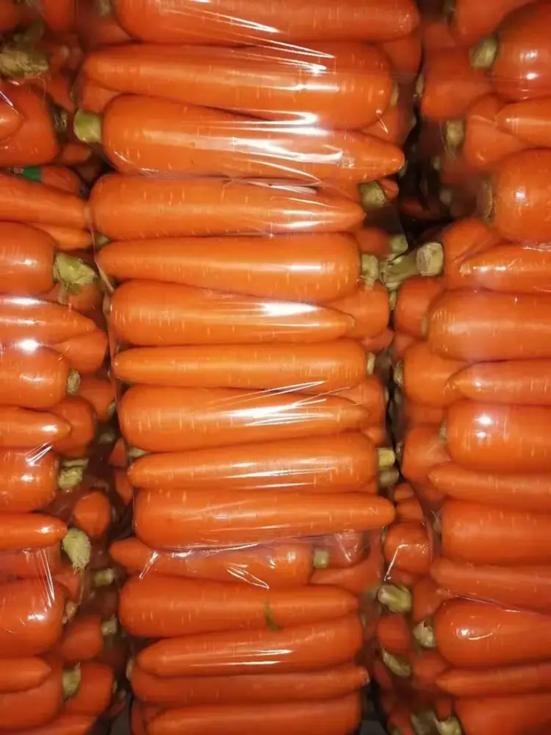 【热卖】开封精品胡萝卜，规格齐全，质量保证，价格美丽