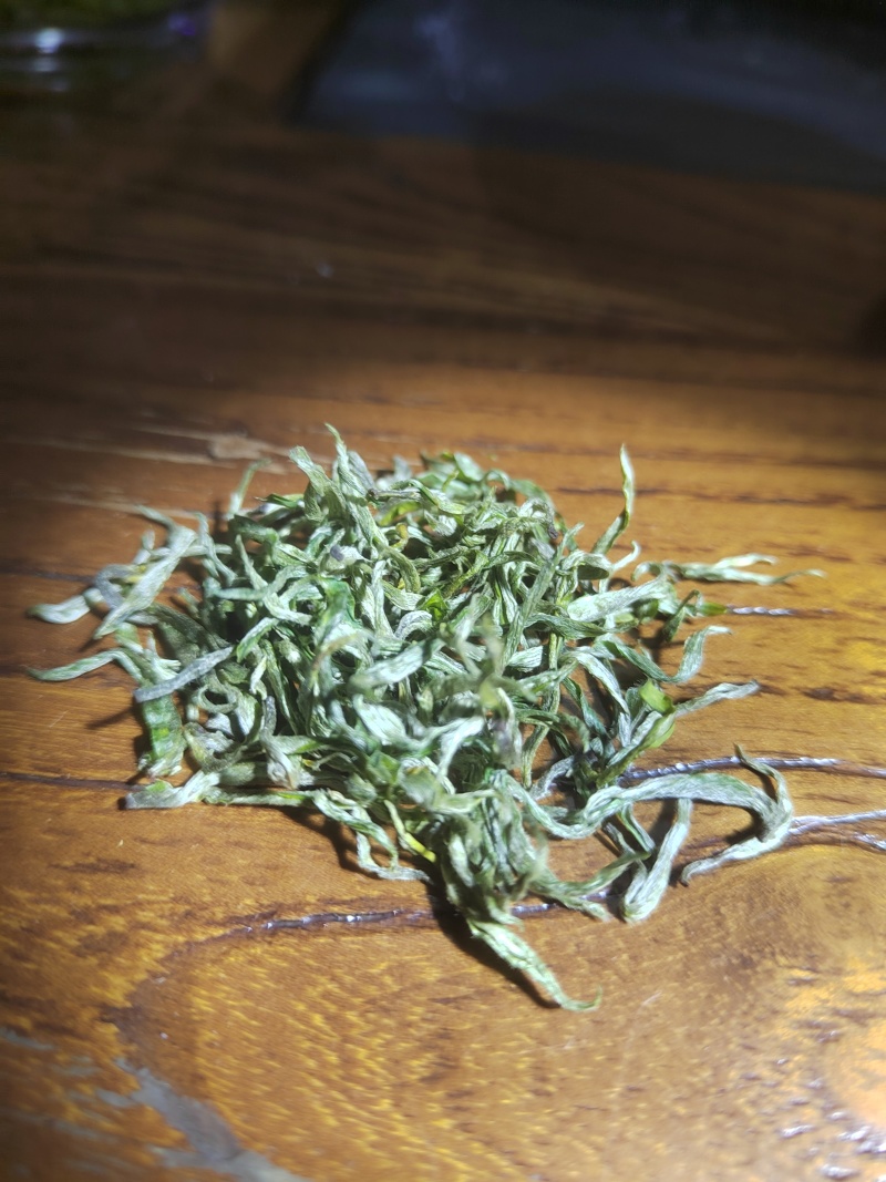 保靖黄金茶头采