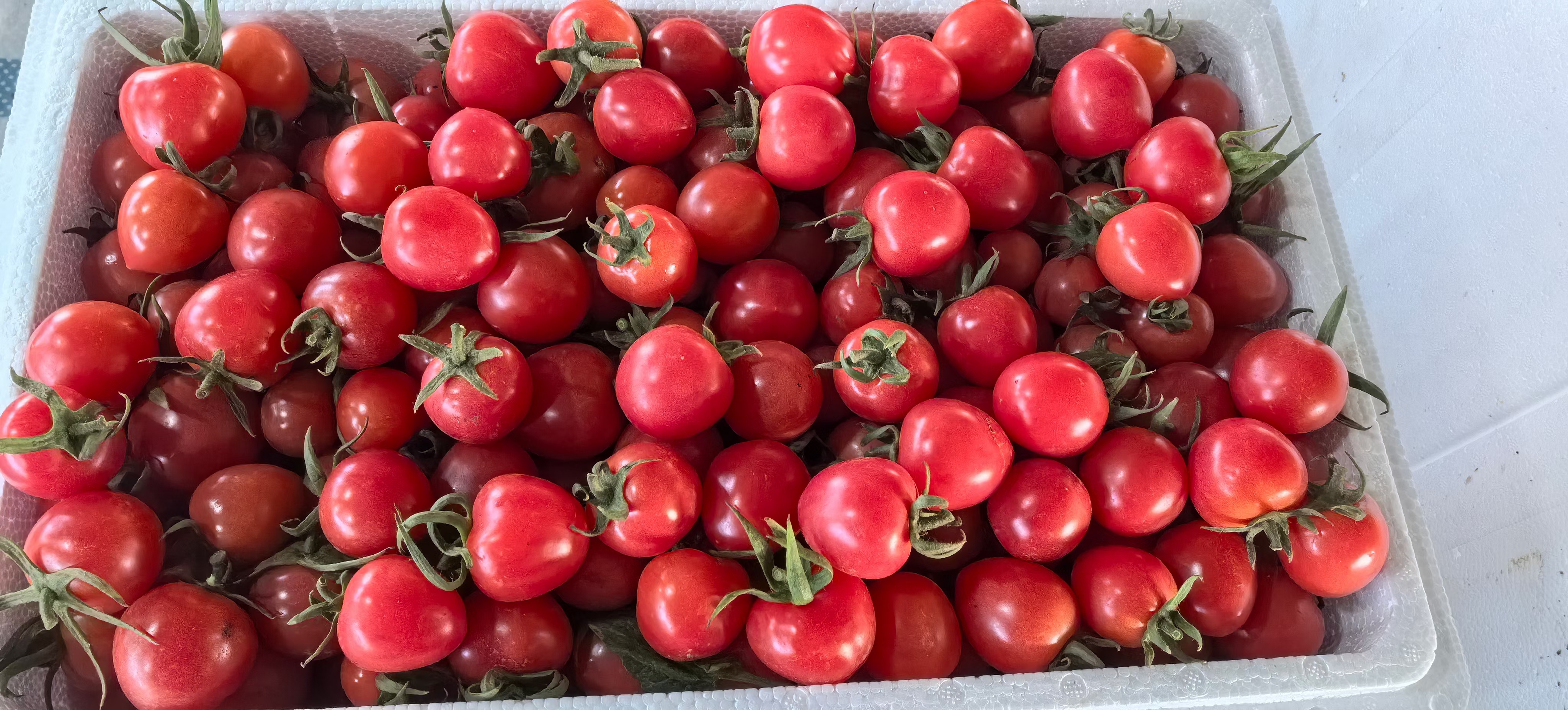 精致的千禧果圣女果礼盒,外包装印有品牌LOGO和产品介绍,内装新鲜果实,适合作为节日礼品 千禧果圣女果礼盒包装展示图