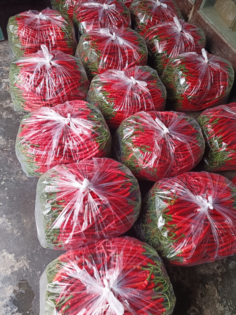 红线椒，红辣椒，三号红线椒，万亩辣椒基地工货，货真价实，
