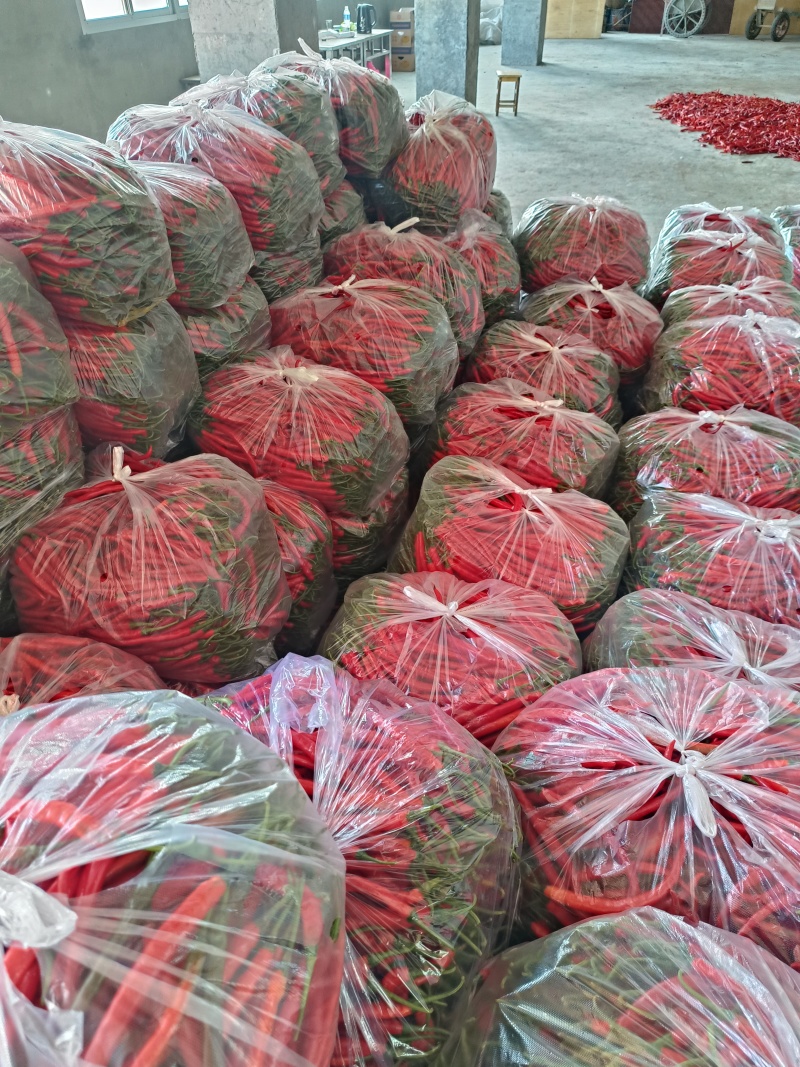 红线椒，红辣椒，三号红线椒，万亩辣椒基地工货，货真价实，