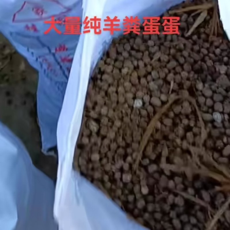 纯发酵羊粪蛋颗粒