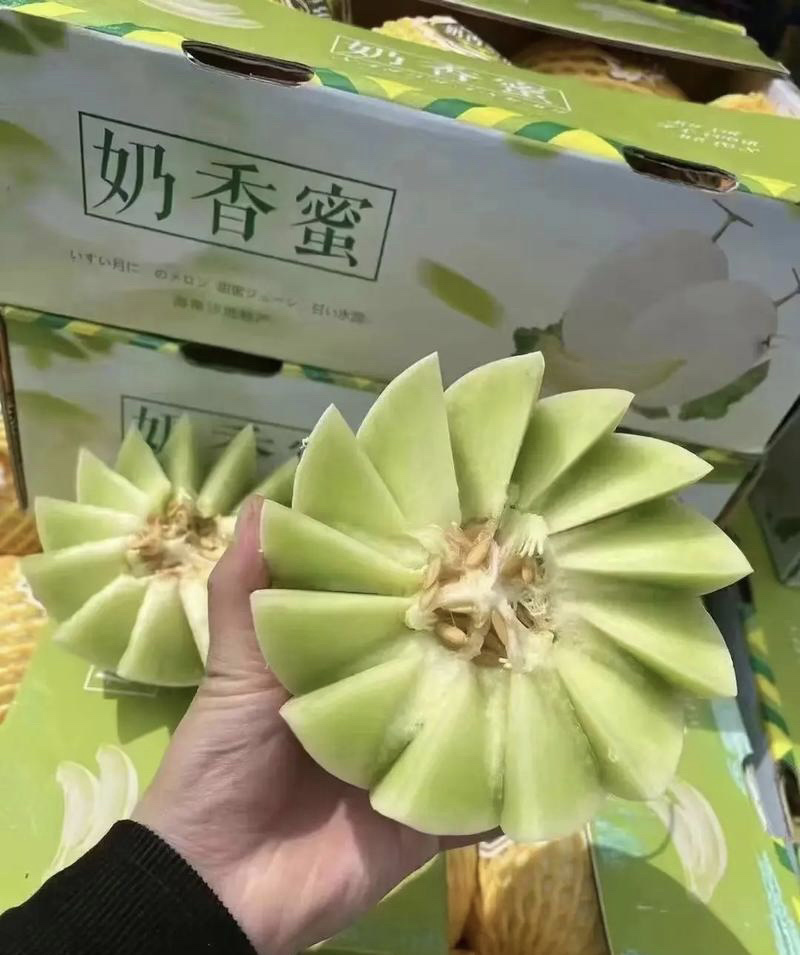 【正宗玉菇甜瓜】玉菇甜瓜，浙江台州玉菇甜瓜，实力代收代办