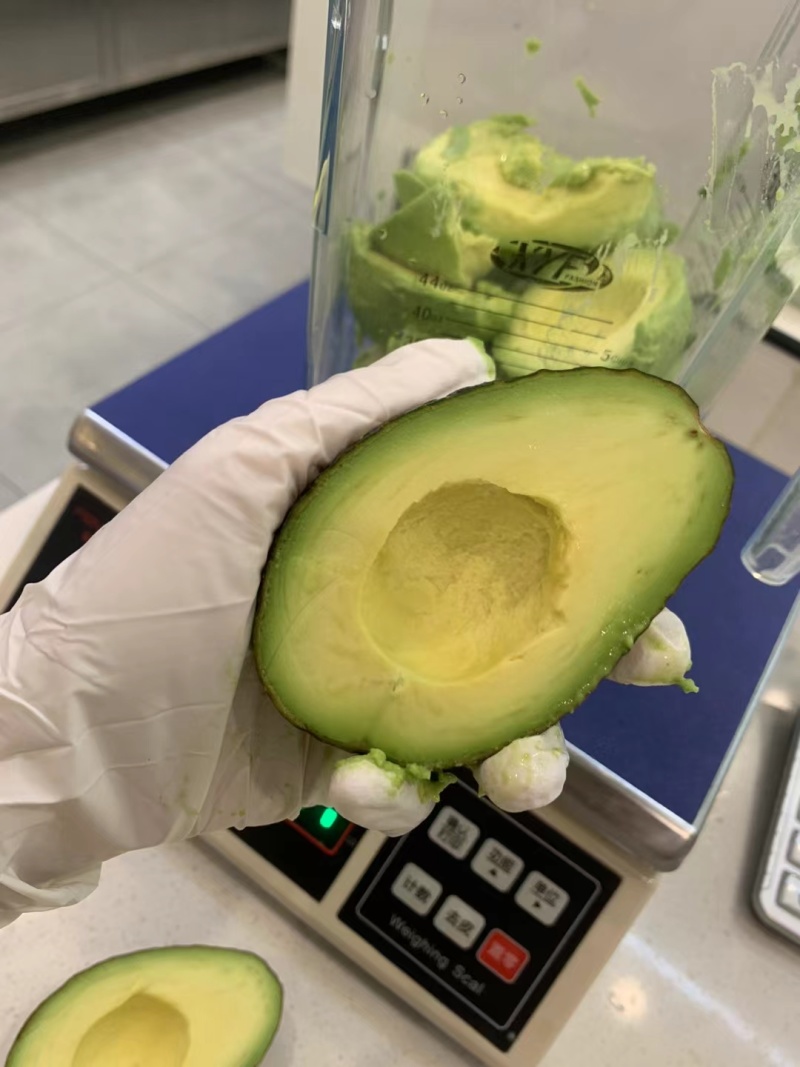 云南孟连县哈斯牛油果自家种植了十多亩果农没有中间商赚差价