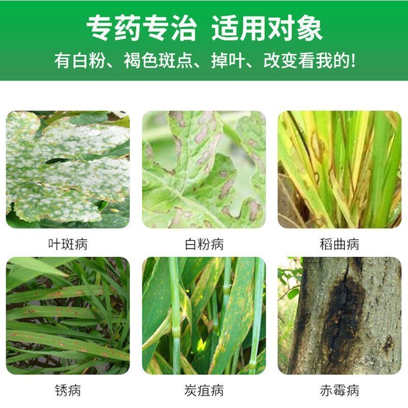 43%戊唑醇杀菌剂斑点落叶病叶斑病炭疽病疫病花卉蔬菜果树