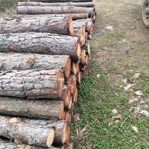 优质松木，正材，长度2米，价格优美！