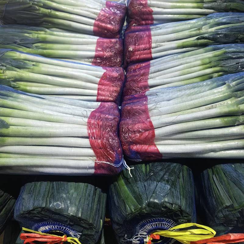 大葱1000亩自己基地低价出售，工厂设备齐全2000吨储