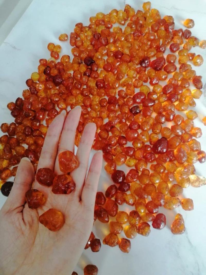 【包邮】桃胶正品新货特级正宗福建天然桃胶食用桃胶批发