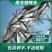 翘嘴鱼苗路亚鱼苗白刁鱼苗淡水养殖批发，提供技术指导