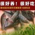 禾花鲤鱼苗淡水养殖禾花乌鲤鱼苗稻田鱼苗活体乌鲤鱼