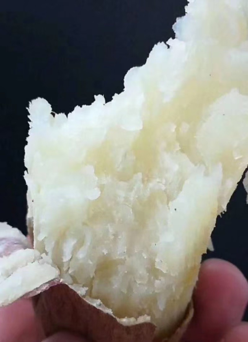 冰糖心️，哈蜜预定中