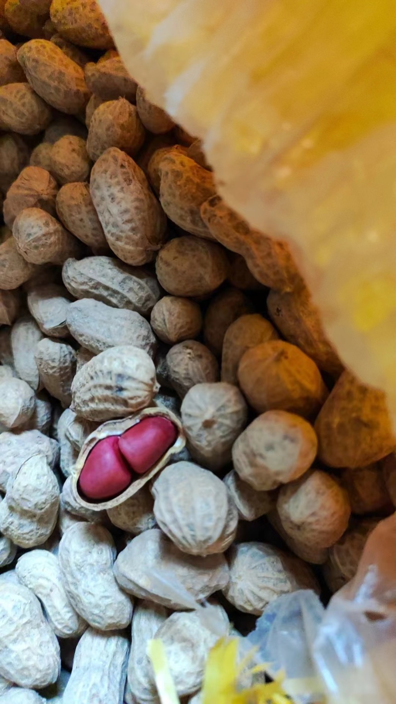 红皮花生手选精选花生