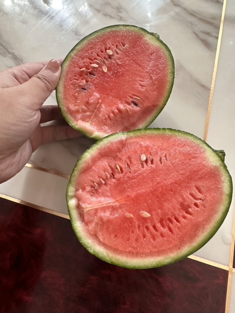 冰糖子西瓜🍉手剥糖丸西瓜大量对接各大市场