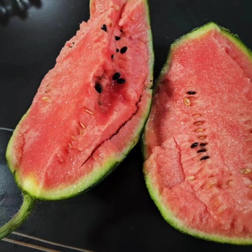 冰糖子西瓜🍉手剥糖丸西瓜大量对接各大市场