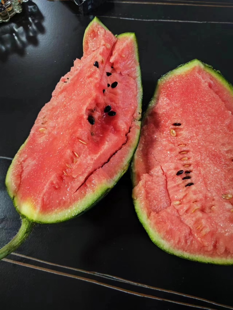 冰糖子西瓜🍉手剥糖丸西瓜大量对接各大市场