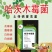 哈茨木霉菌抗死棵抗烂苗抗后期枯萎消除真菌病害50亿/克