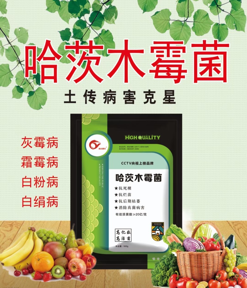 哈茨木霉菌抗死棵抗烂苗抗后期枯萎消除真菌病害50亿/克