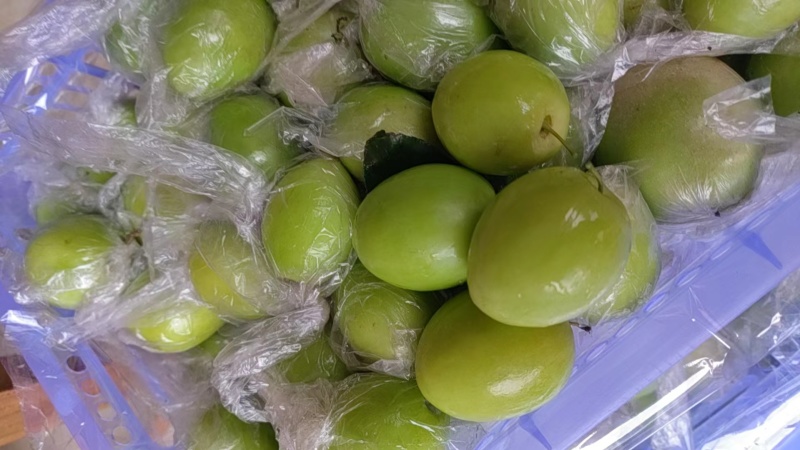 脆甜小青枣大量有货。质优价廉欢迎全国客户订购