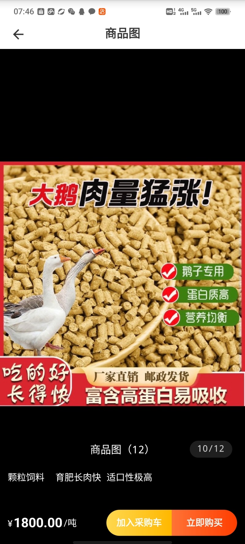 猪饲料颗粒高蛋白催肥快