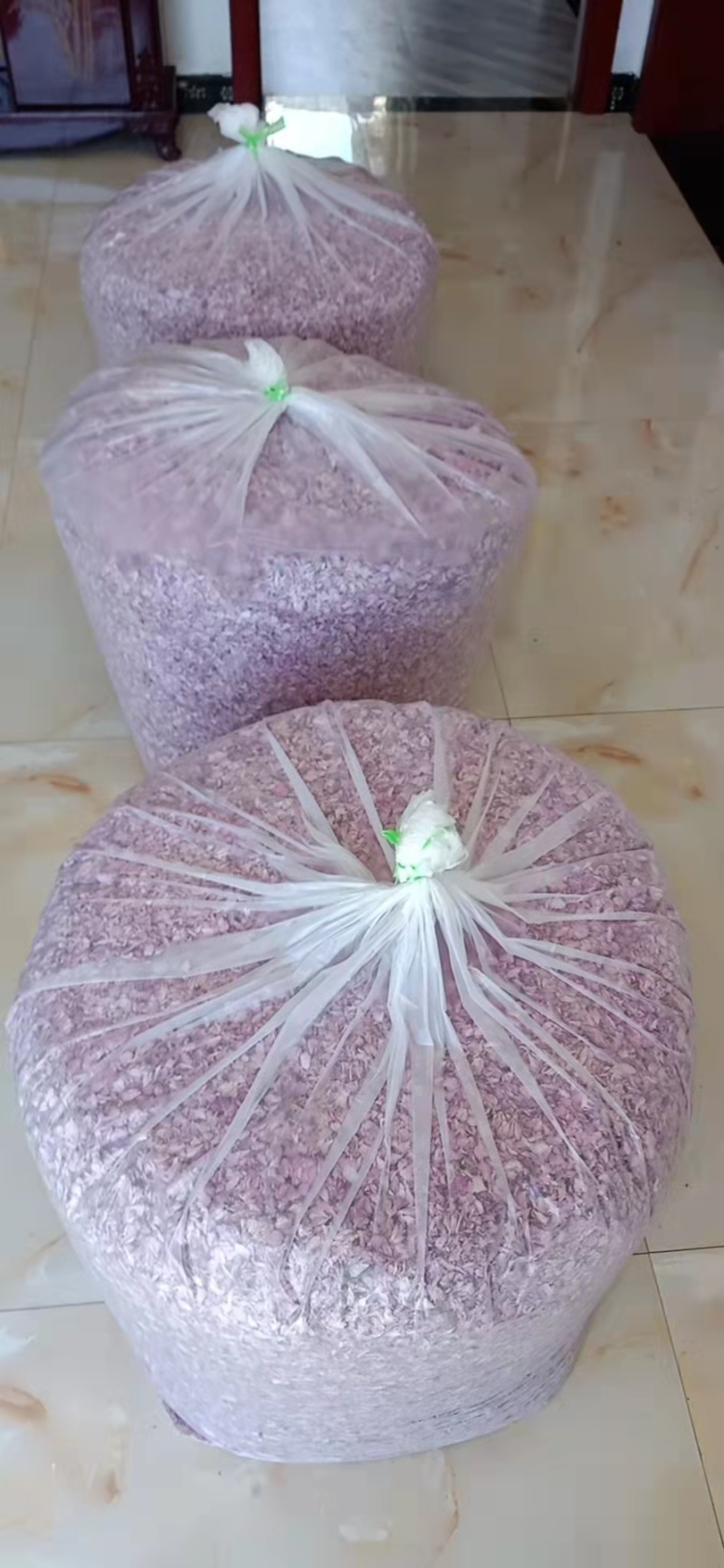 关山樱花瓣