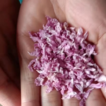 关山樱花瓣