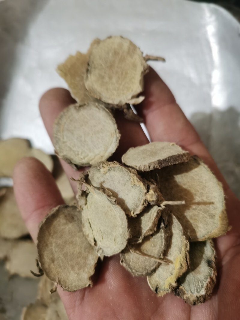莪术中片莪术泽润中药规格齐全批发零售各种中
